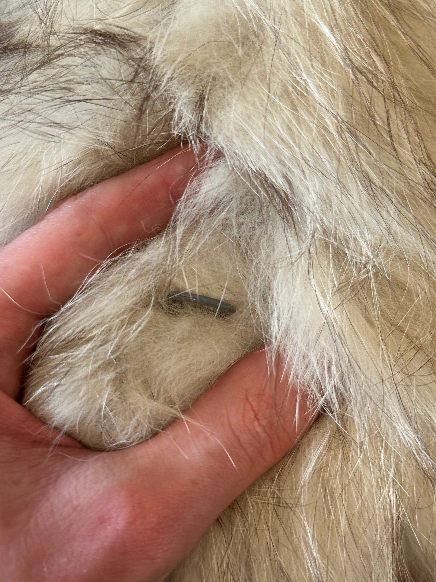 Genuine Fur Coat