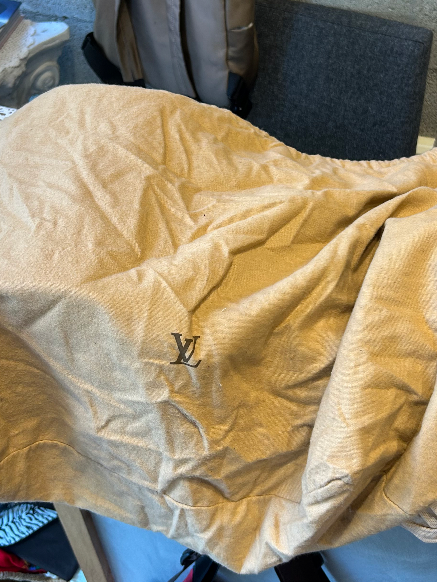 LOUIS VUITTON Monogram sac chassour 35 pet carry