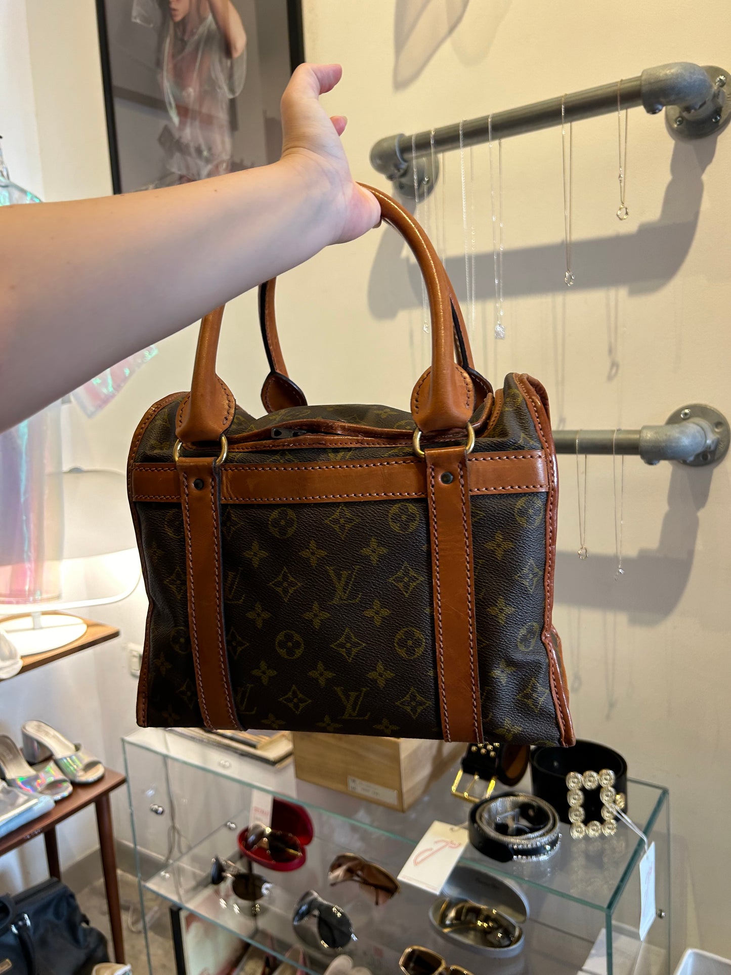 LOUIS VUITTON Monogram sac chassour 35 pet carry