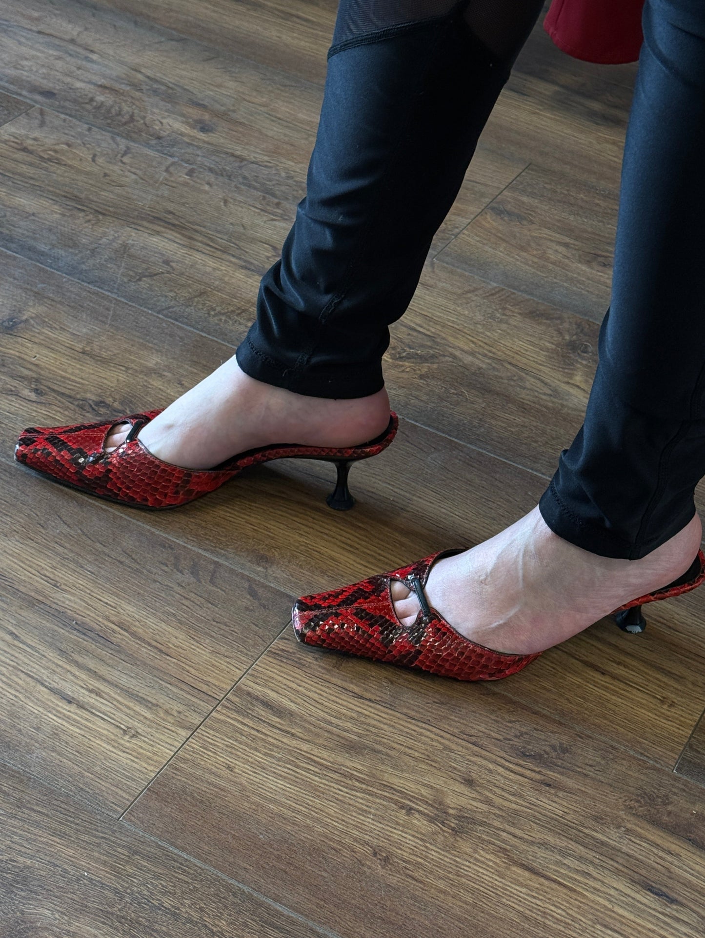 Sergio Rossi Python Kitten Heel Mules 35 EU