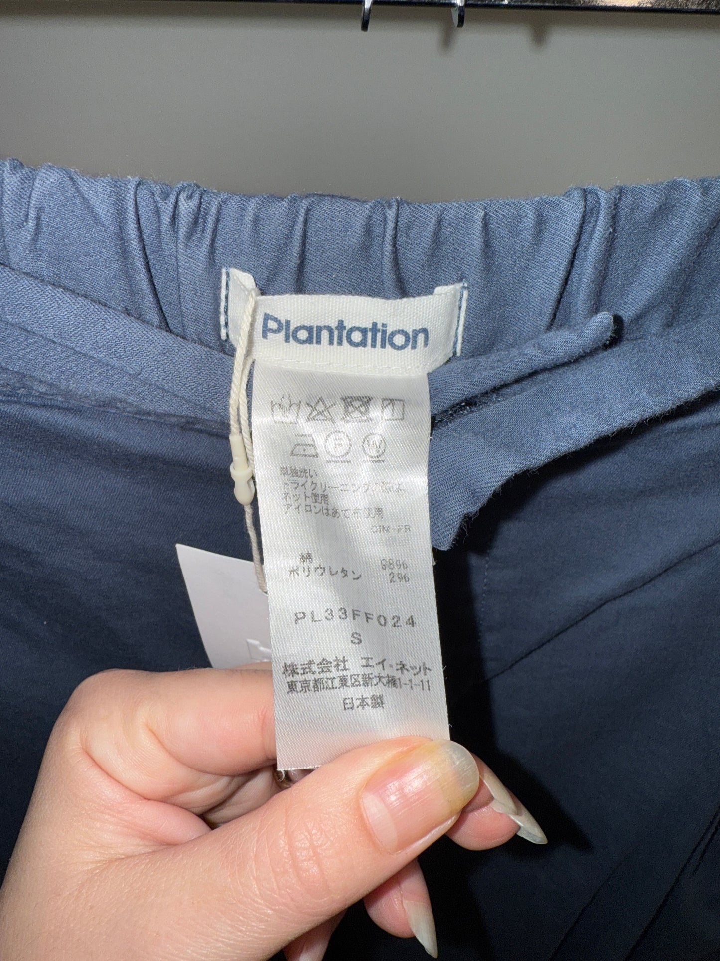 Plantation (Issey Miyake) wide-leg pleated trousers