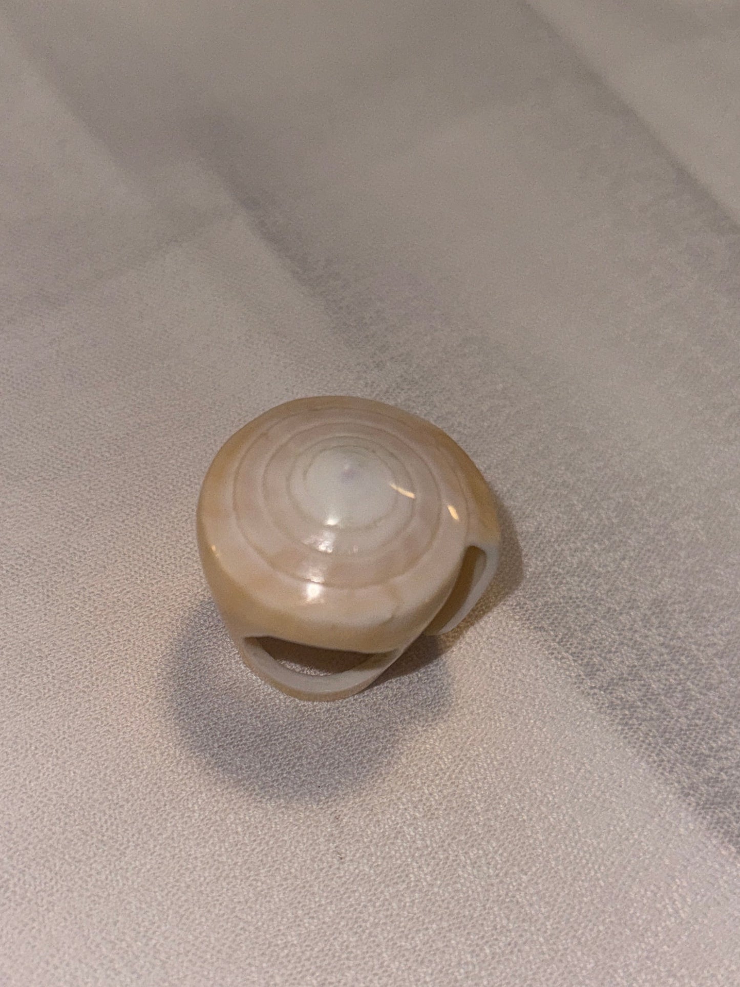 Vintage Carved Shell Statement Ring